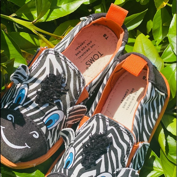 Toddler Zebra Toms - Picture 8 of 9